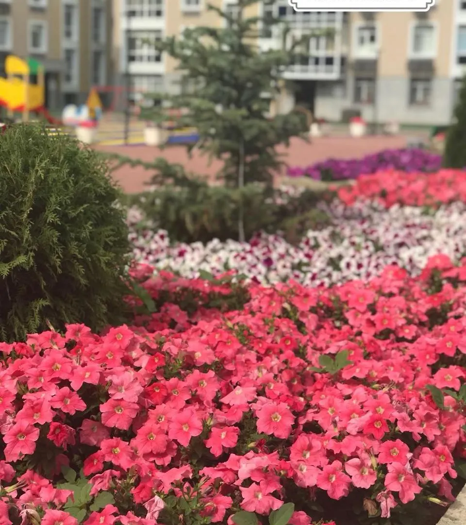 Однокомнатная 0*, Nur-Sultan (Astana)
